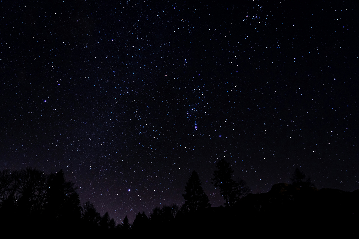 Starry Night Sky